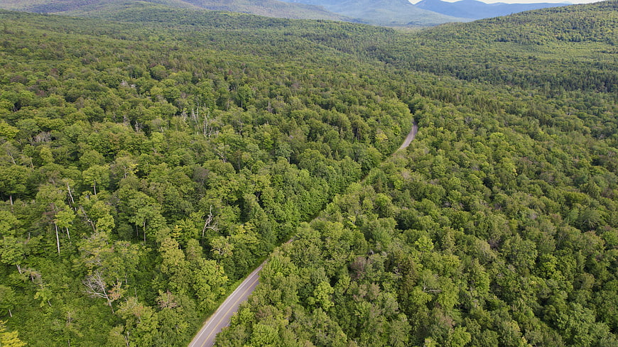 Aerial view of winding road through lush green forest