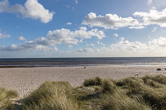 Serene sandy beach with dune grass and blue sky