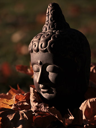 Dark Buddha Head Sculpture Resting On Autumn Leaves