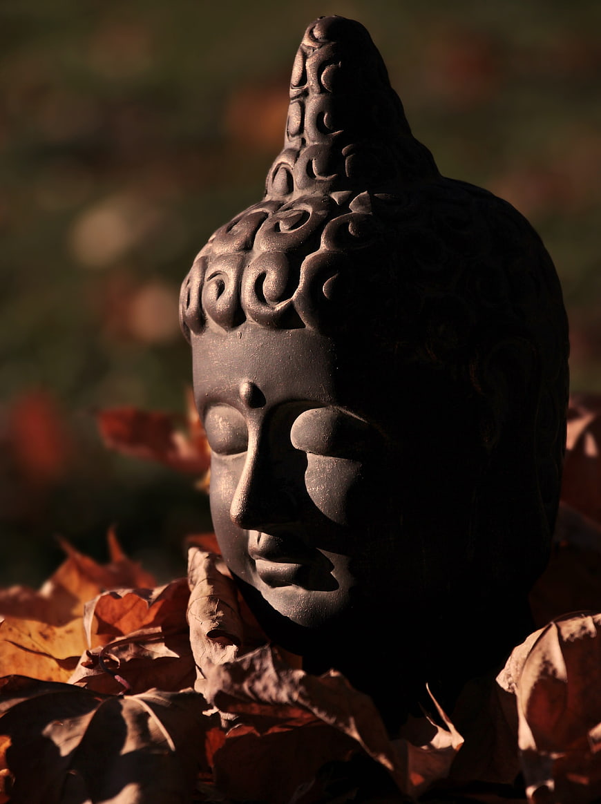 Dark Buddha Head Sculpture Resting On Autumn Leaves