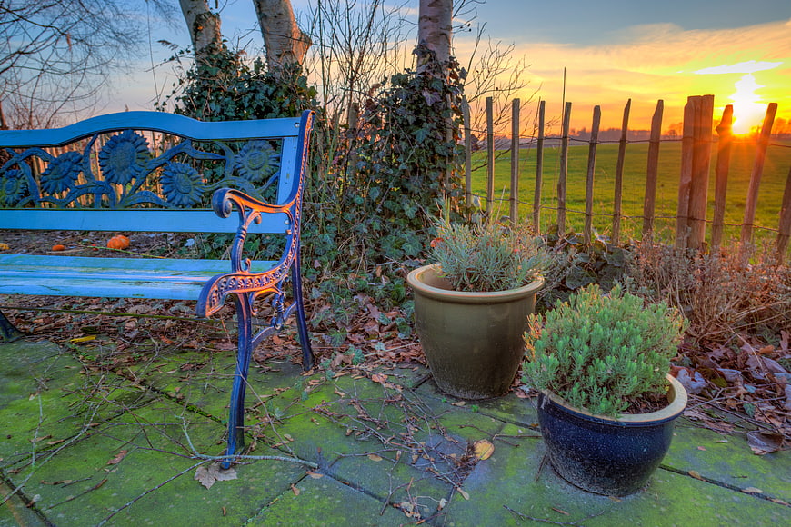 Blue Garden Bench at Sunset with Potted Plants