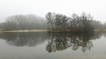 Misty lake with tree reflections in winter landscape
