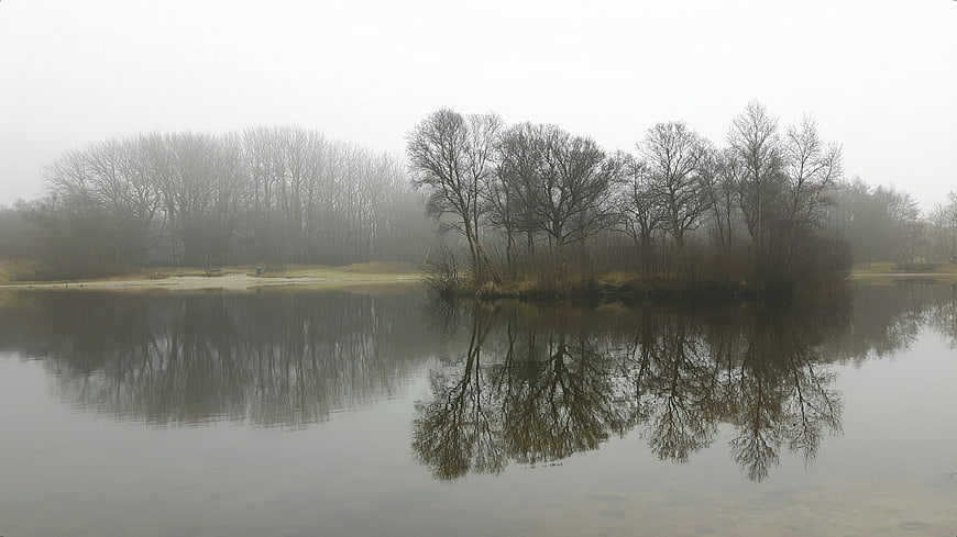 Misty lake with tree reflections in winter landscape
