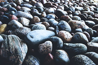Close-up of smooth wet pebbles on a rocky beach
