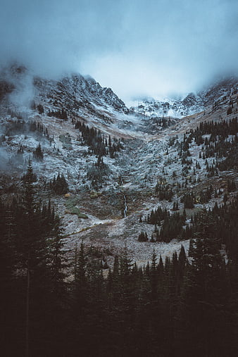 Misty Mountain Valley with Snow-Capped Peaks and Pine Forest