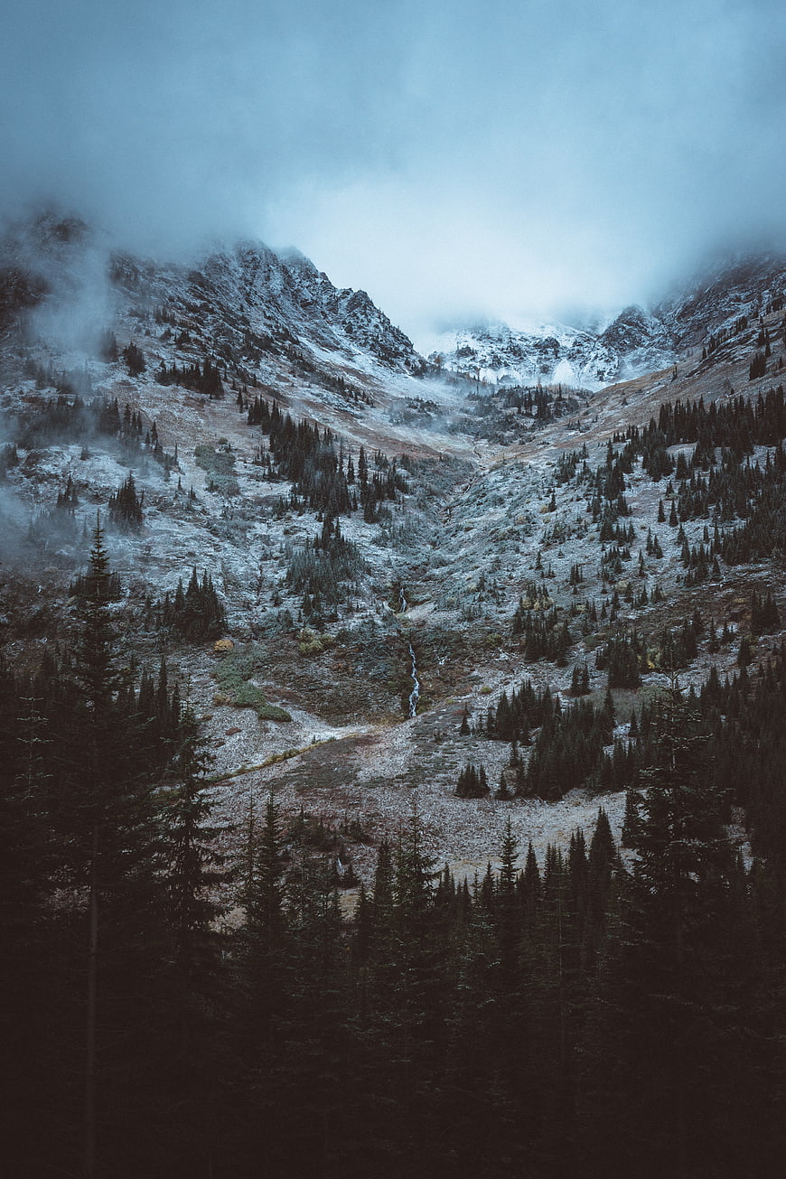 Misty Mountain Valley with Snow-Capped Peaks and Pine Forest