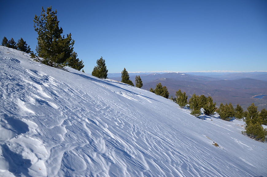Snowy Mountain Slope with Pine Trees and Distant Valley View