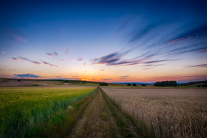 Rural Farm Field Landscape With Dirt Path Leading To Sunset Horizon