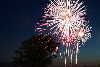 Red and white fireworks bursting over a dark tree silhouette at night