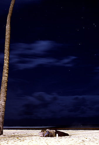 Person Sleeping on Sandy Beach Under Starry Night Sky