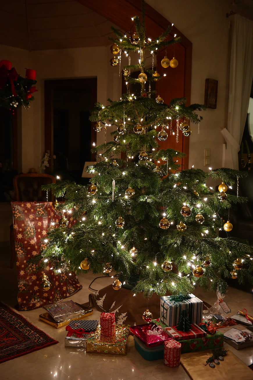 Decorated Christmas Tree with Gifts and Lights in Living Room