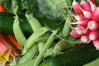 Fresh Organic Vegetables Close-Up