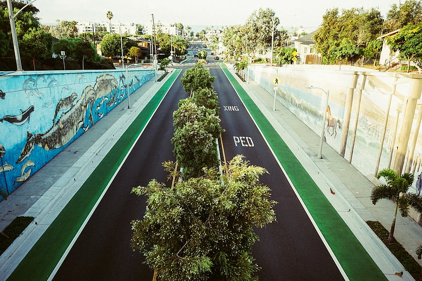 Urban Greenway with Mural Walls and Central Trees
