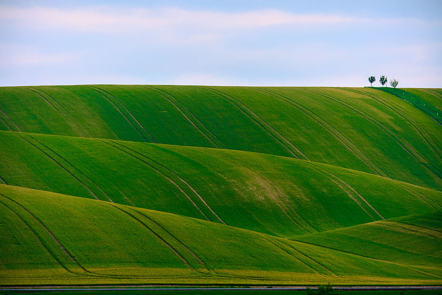 Rolling green hills with tractor tracks and distant trees