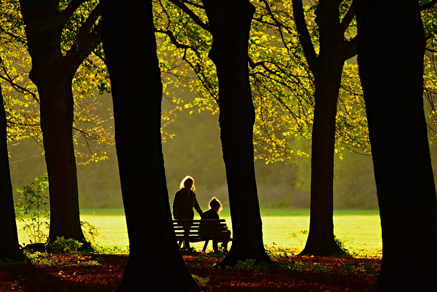 Silhouetted couple on a park bench framed by dark tree trunks in golden autumn light