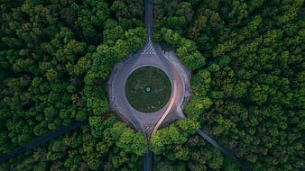 Aerial View of Roundabout in Forest with Light Trails