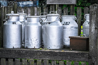 Vintage Aluminum Milk Cans on Rustic Wooden Farm Shelf