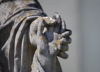Close-up of weathered stone angel hands clasped in prayer