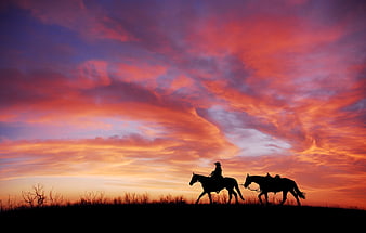 Silhouette of Cowboy and Horses Against Vibrant Sunset Sky