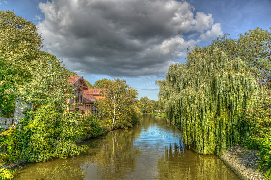 Scenic Canal in Amsterdam with Weeping Willow and House