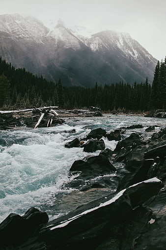 Rushing mountain river with snow-capped peaks and pine forest