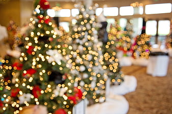 Blurred Christmas Trees With Warm Bokeh Lights Holiday Background