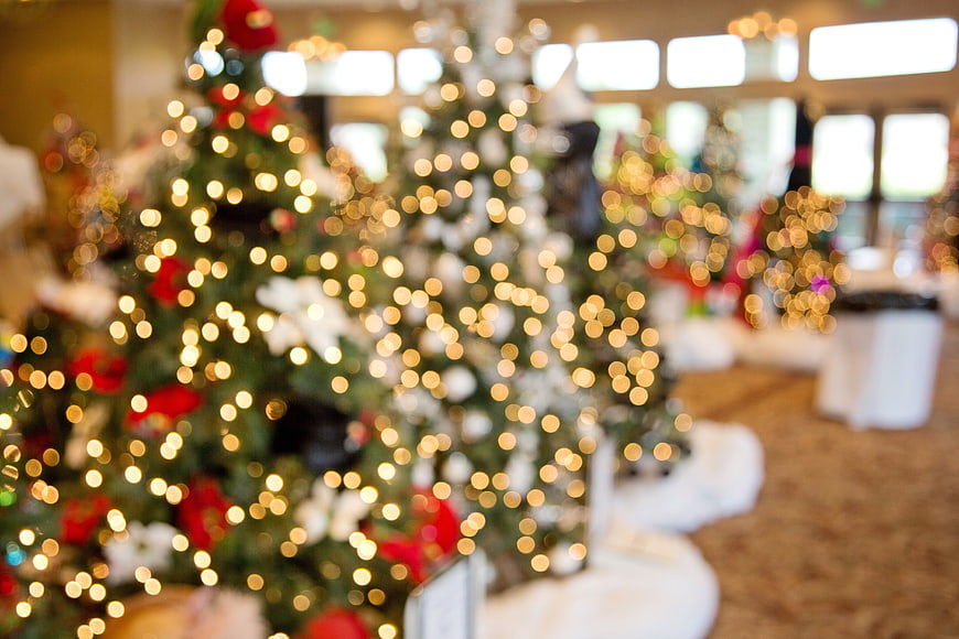 Blurred Christmas Trees With Warm Bokeh Lights Holiday Background