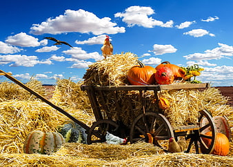 Rustic autumn harvest scene with pumpkins, hay bales, and chickens