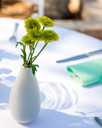Green Chrysanthemums in White Vase on Outdoor Table