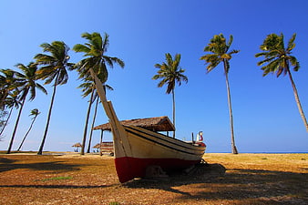 Traditional Wooden Boat on Tropical Beach with Palm Trees