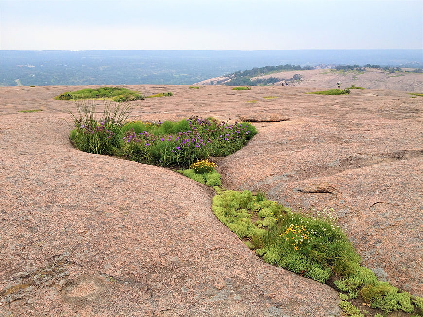 Enchanted Rock Texas Granite Landscape With Wildflowers