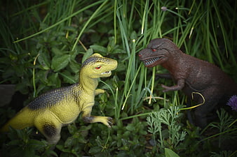 Two toy dinosaurs facing off in green garden grass