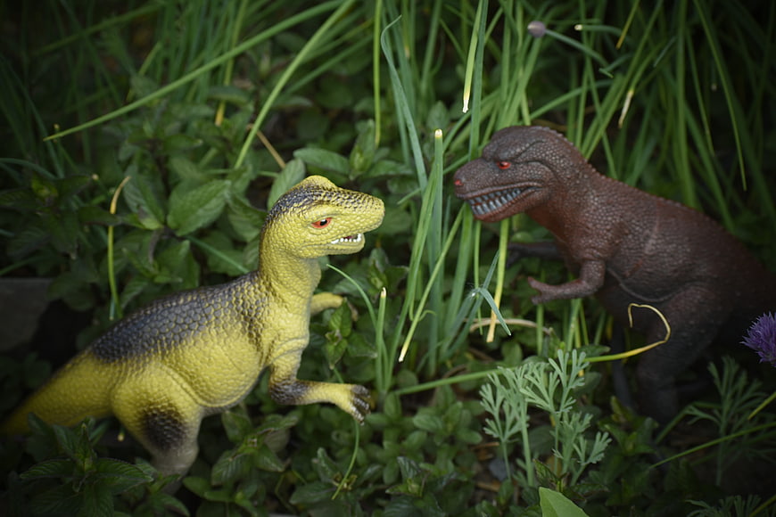 Two toy dinosaurs facing off in green garden grass
