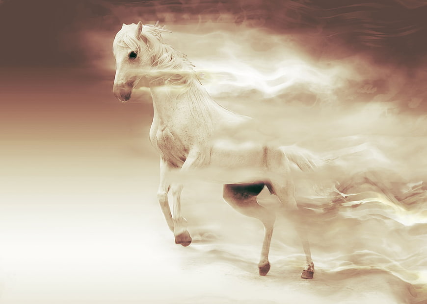 White horse running with ethereal smoke effect