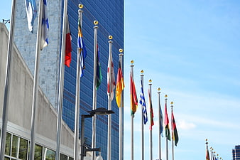 International flags flying in front of the United Nations headquarters in New York
