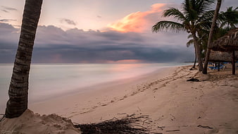 Serene tropical beach sunset with palm trees and smooth water