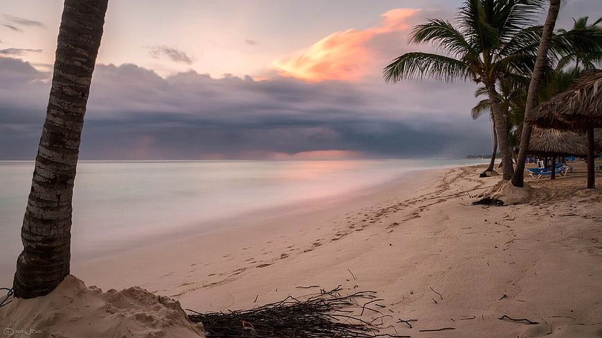 Serene tropical beach sunset with palm trees and smooth water