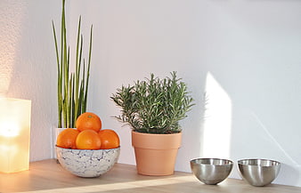 Cozy Kitchen Still Life With Oranges, Rosemary, And Metal Bowls