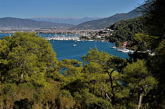 Scenic View of Mediterranean Marina with Mountains and Pine Forest