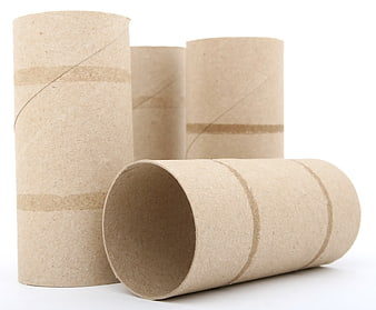 Empty cardboard toilet paper rolls on white background