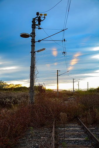 Abandoned railway tracks in overgrown field at sunset