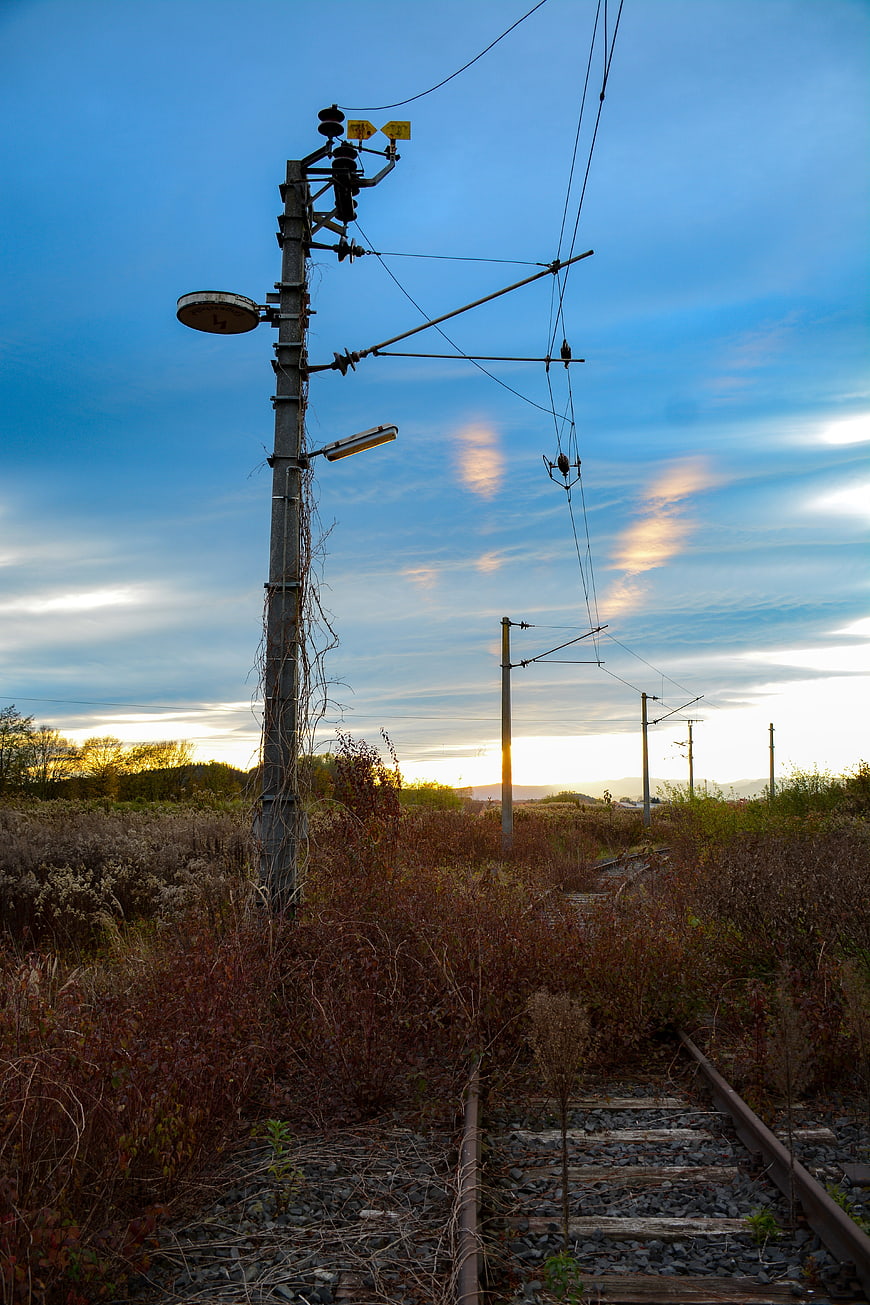 Abandoned railway tracks in overgrown field at sunset