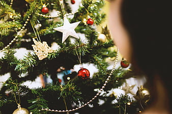 Close-up of Christmas Tree with Red and Gold Ornaments