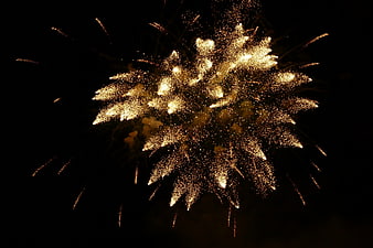 Golden fireworks exploding in the night sky