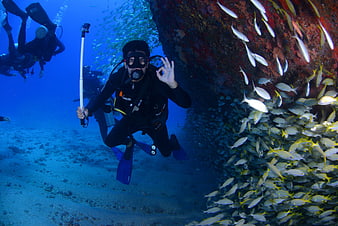 Scuba Diver With Selfie Stick Near Reef School of Fish