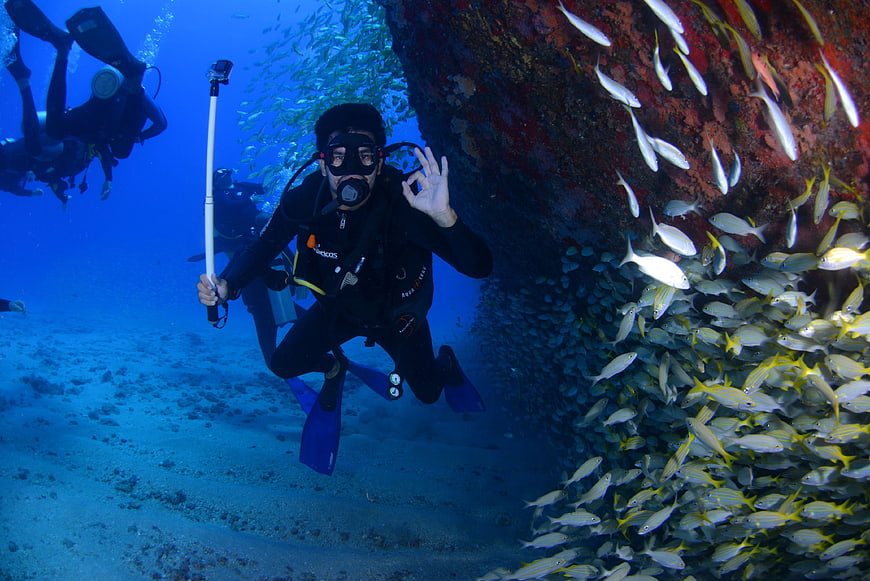 Scuba Diver With Selfie Stick Near Reef School of Fish