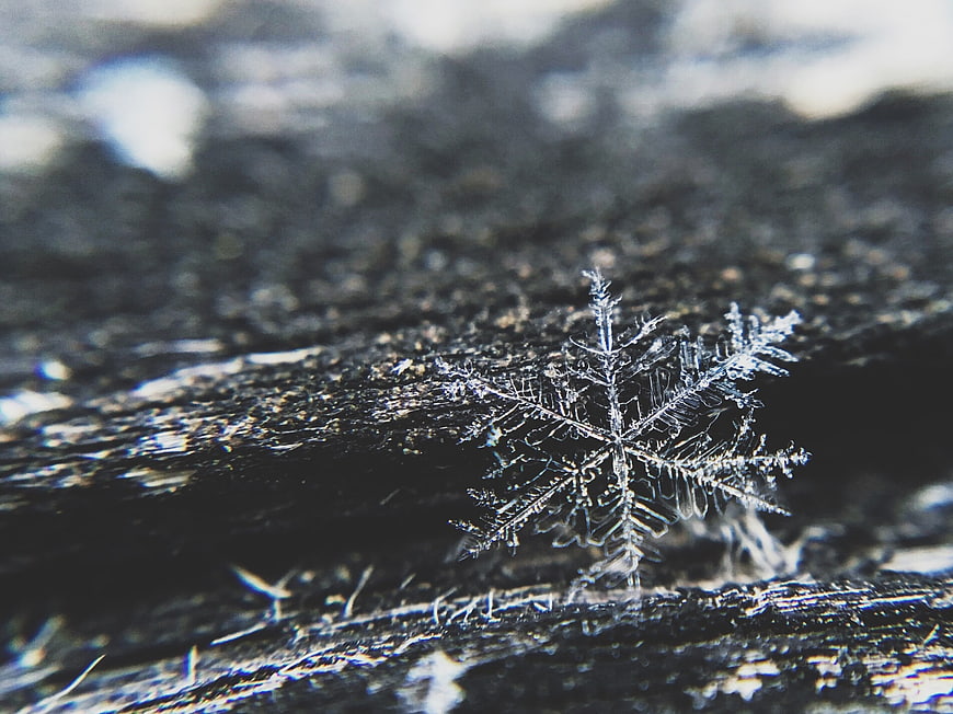 Macro Close-Up of Intricate Snowflake on Dark Wood
