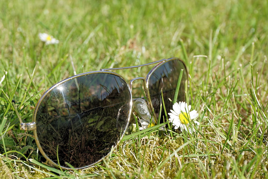 Sunglasses resting on green grass with a white daisy