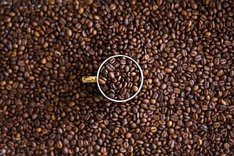 Top down view of coffee beans in a white cup