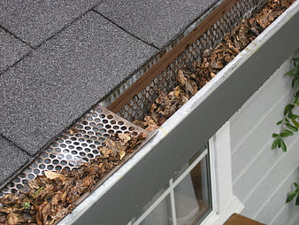Clogged gutter guard with dry leaves on residential roof